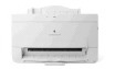Apple Color StyleWriter 2500 printing supplies